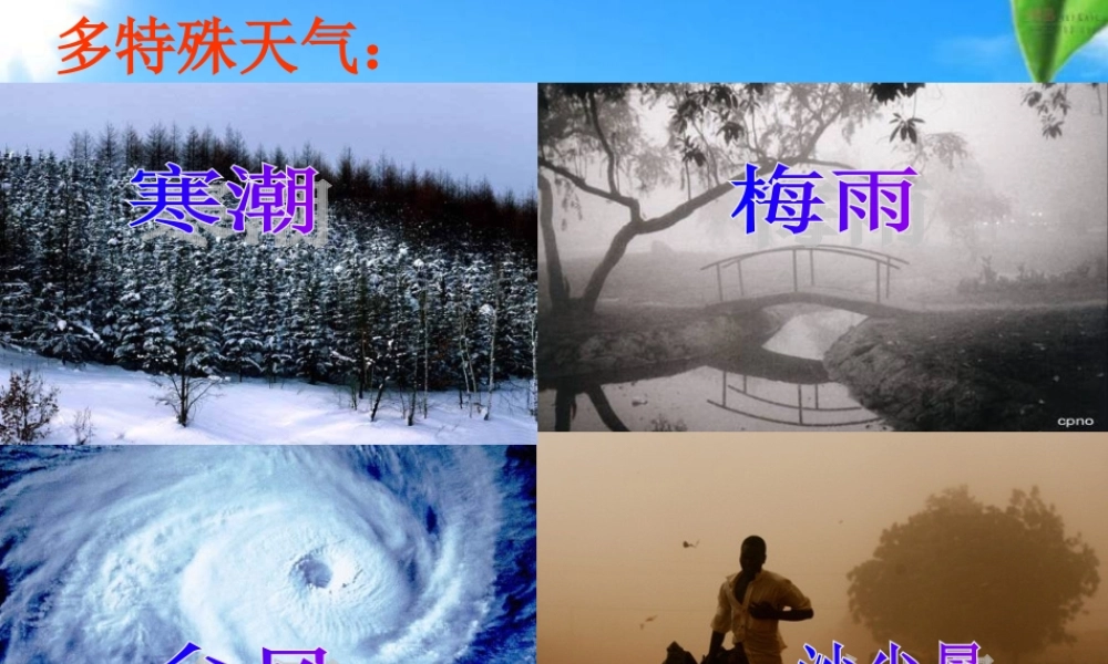 八年级地理上册 多特殊天气多旱涝灾害课件 湘教版 课件
