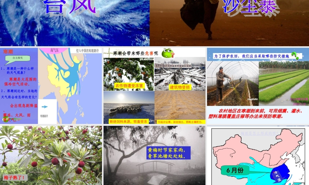 八年级地理上册 多特殊天气多旱涝灾害课件 湘教版 课件