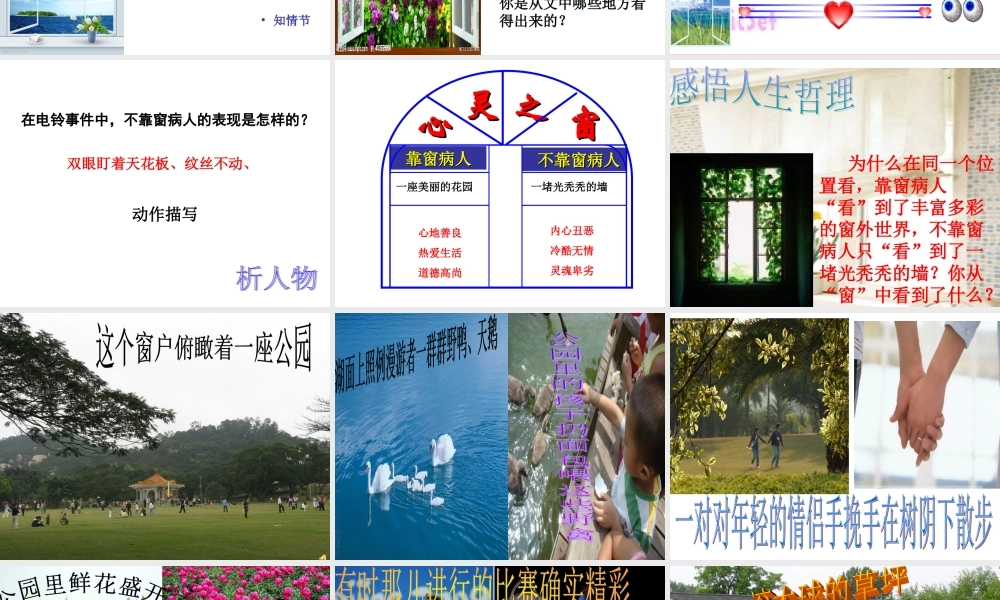 《窗》的公开课课件