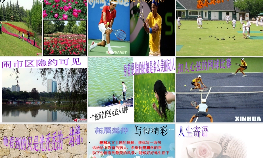 《窗》的公开课课件