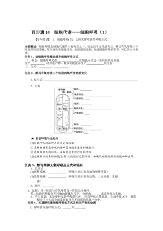 百步通14细胞呼吸