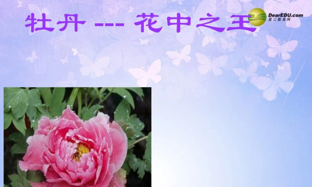 中学七年级生物上册 开花和结果课件 新人教版