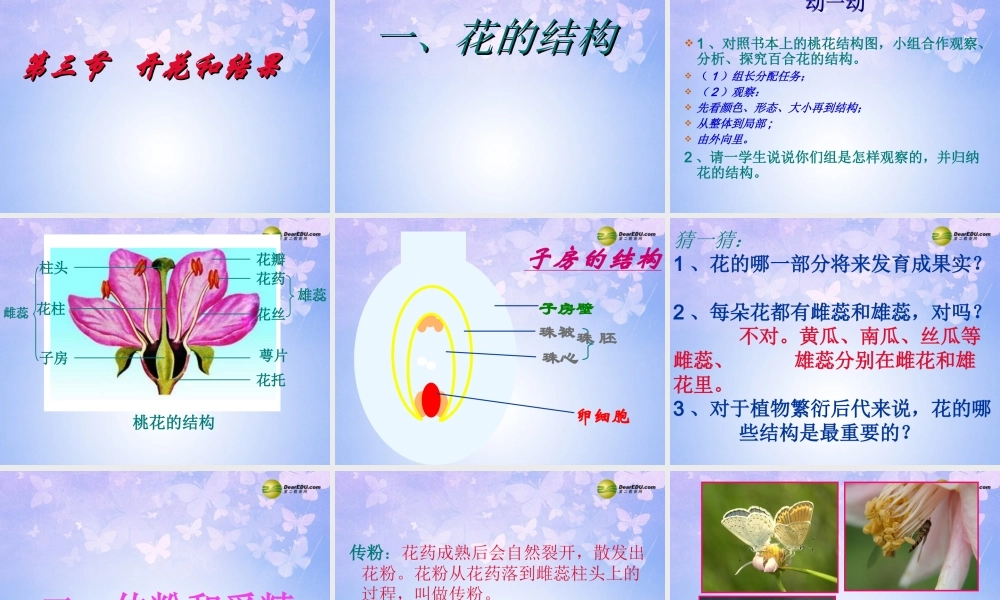 中学七年级生物上册 开花和结果课件 新人教版