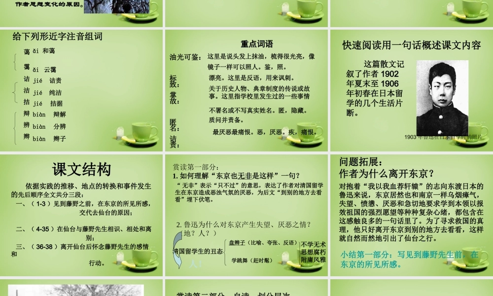 中学八年级语文下册 第1课(藤野先生)课件 (新版)新人教版 课件