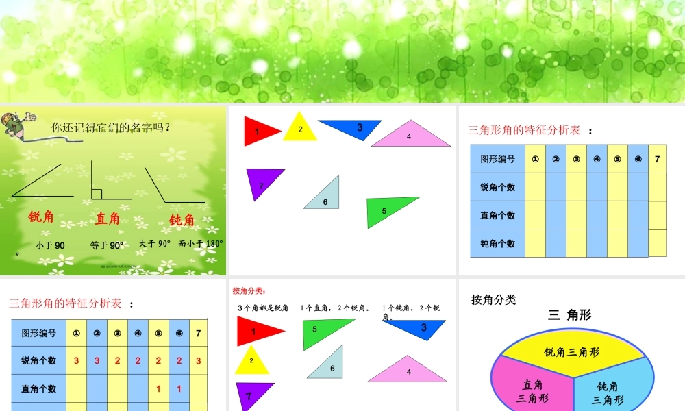 三角形的分类课件 (2)