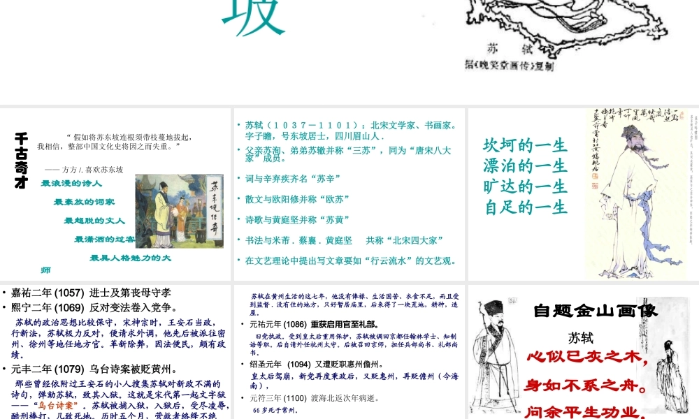 届高考语文第一轮知识点专题复习(走近苏东坡)课件