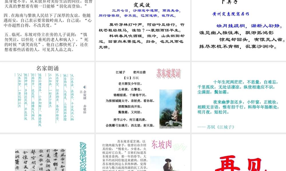 届高考语文第一轮知识点专题复习(走近苏东坡)课件