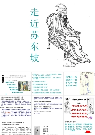 届高考语文第一轮知识点专题复习(走近苏东坡)课件