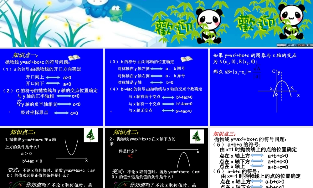 九年级数学二次函数的符号问题拓展 试题