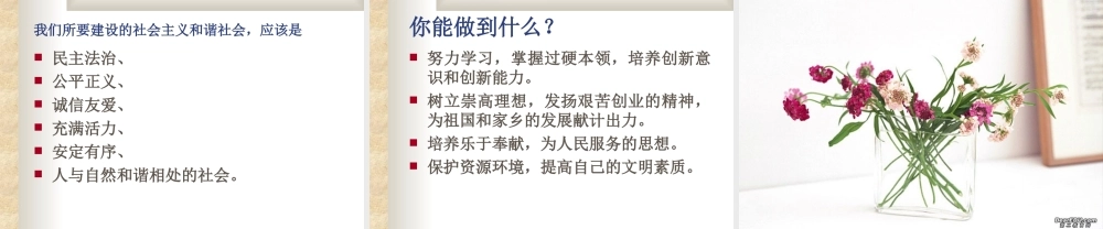 新课标初三政治构建社会主义和谐社会 课件