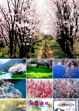 八年级语文上册 第五单元第21课(桃花源记)课件 人教新课标版 课件