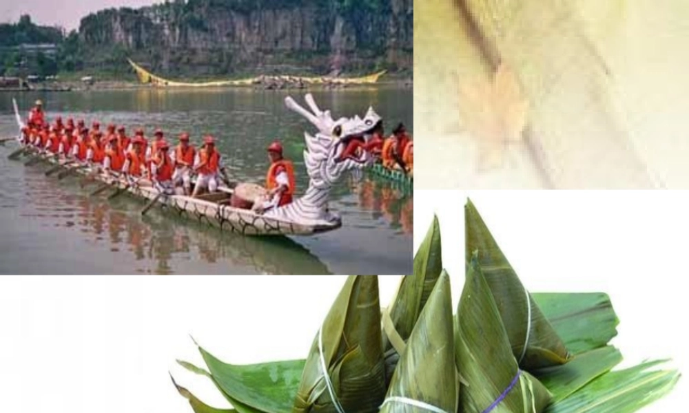 八年级语文下册 7.雷电颂(浅层阅读+深层阅读+语文积累)课件 新人教版 课件