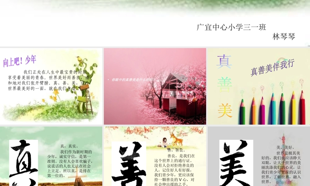 少年向上——真善美伴我行