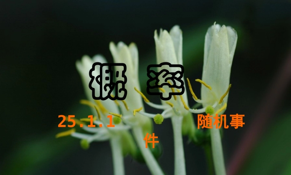 山东省博山区第六中学九年级数学上册 25.1.1 随机事件课件 (新版)新人教版 课件