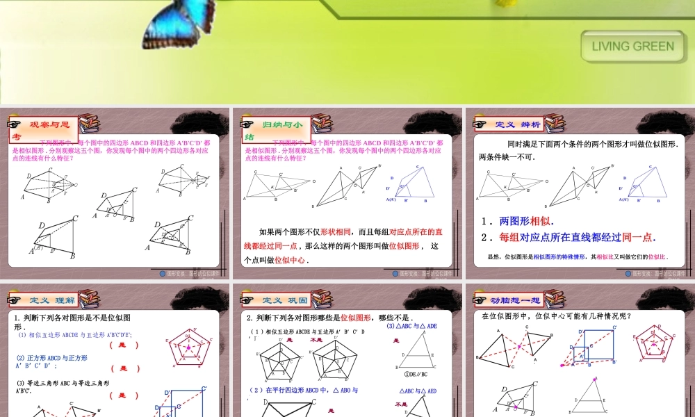 九年级数学上册(23 图形的位似)课件 青岛版 课件