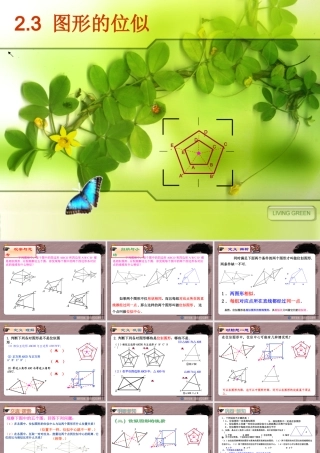 九年级数学上册(23 图形的位似)课件 青岛版 课件