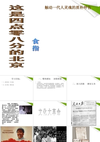 九年级语文下册 第7课(这是四点零八分的北京)课件 语文版 课件