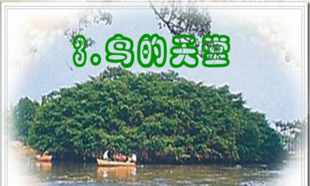 四年级语文上册第一组3鸟的天堂课件