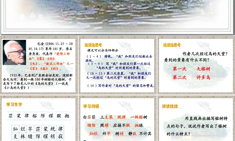 四年级语文上册第一组3鸟的天堂课件