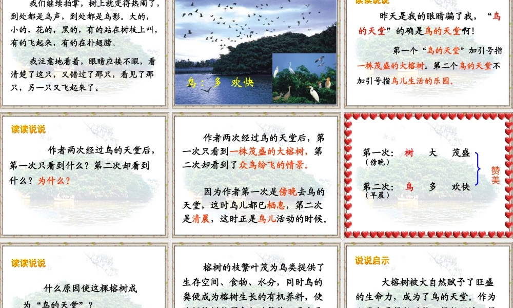四年级语文上册第一组3鸟的天堂课件