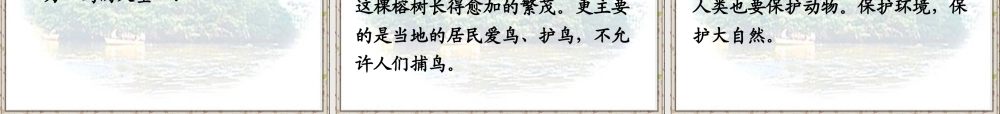 四年级语文上册第一组3鸟的天堂课件