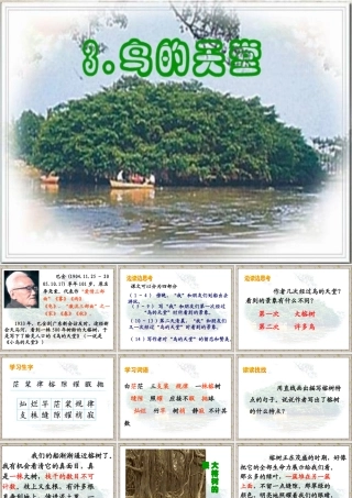 四年级语文上册第一组3鸟的天堂课件