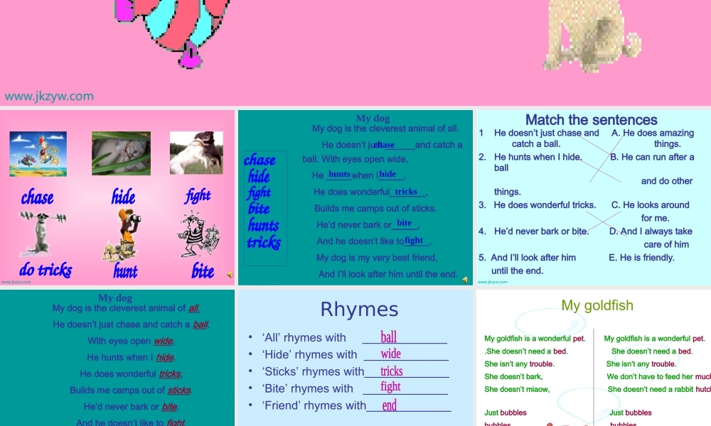 七年级英语7B Unit 6 Pets Reading课件牛津版 课件