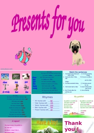 七年级英语7B Unit 6 Pets Reading课件牛津版 课件