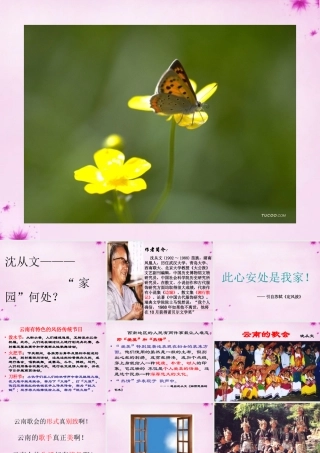 八年级语文下册 4.16(云南的歌会)课件 (新版)新人教版 课件