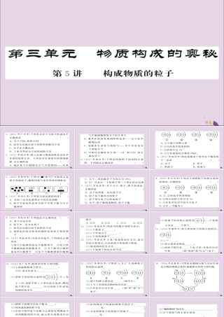 中考化学总复习 第一轮复习 系统梳理 夯基固本 第5讲 构成物质的粒子练习课件
