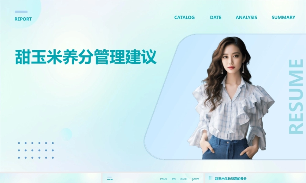 甜玉米养分管理建议课件