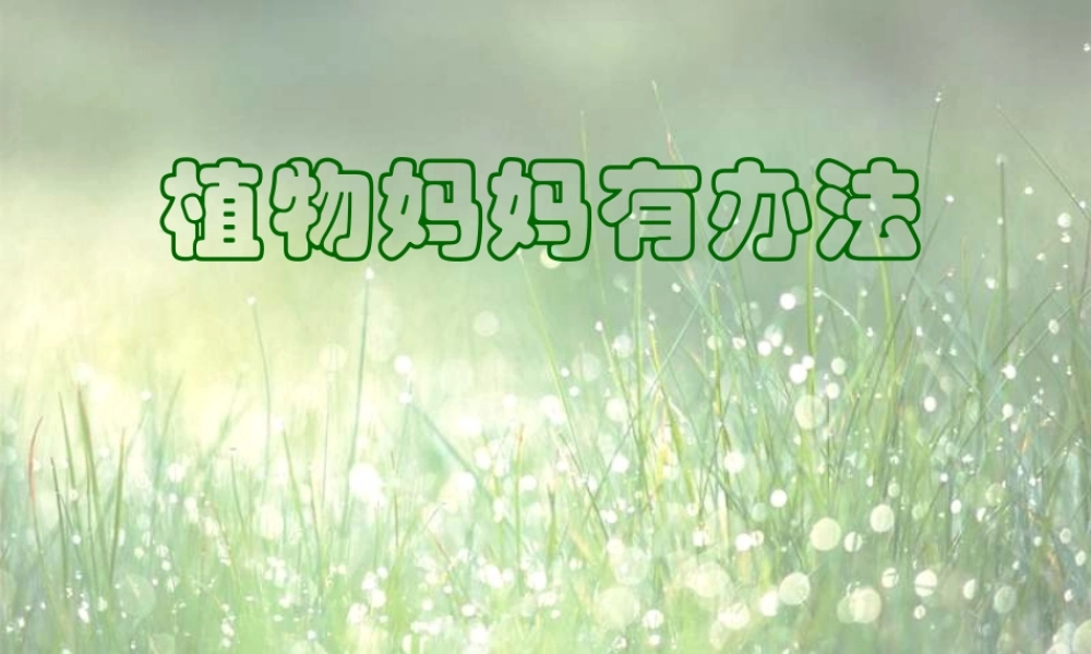 _3植物妈妈有办法