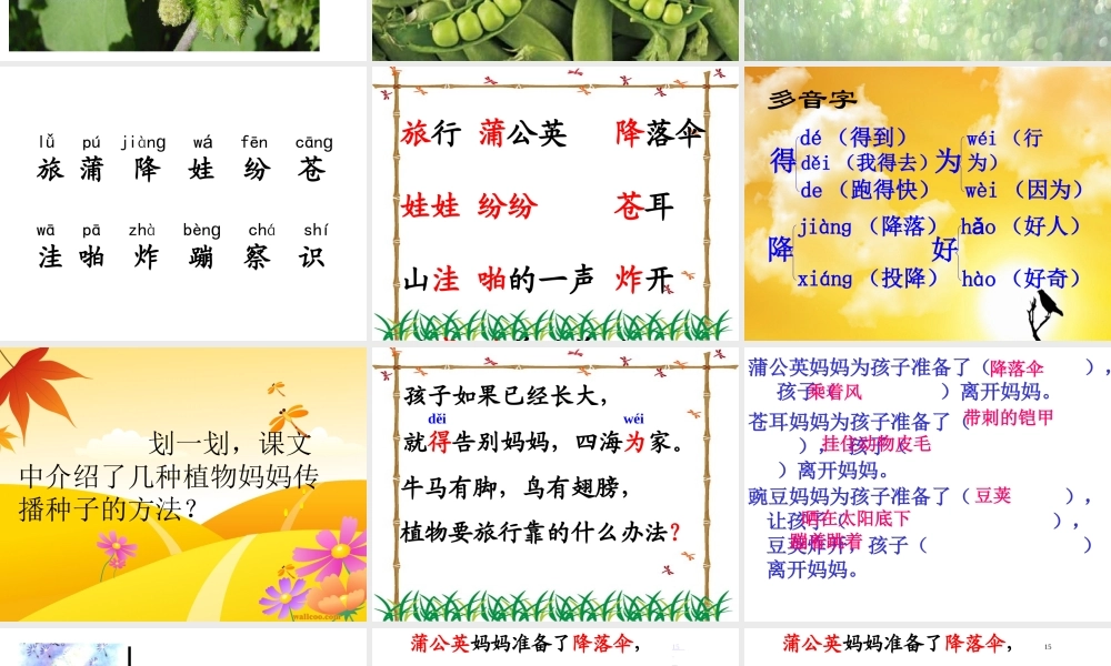 _3植物妈妈有办法