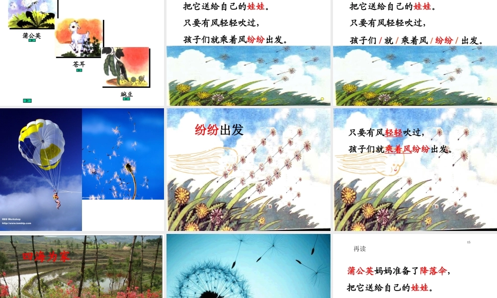 _3植物妈妈有办法