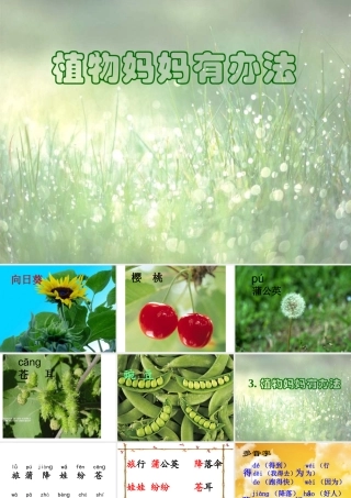 _3植物妈妈有办法