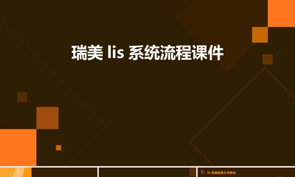 瑞美Lis系统流程课件