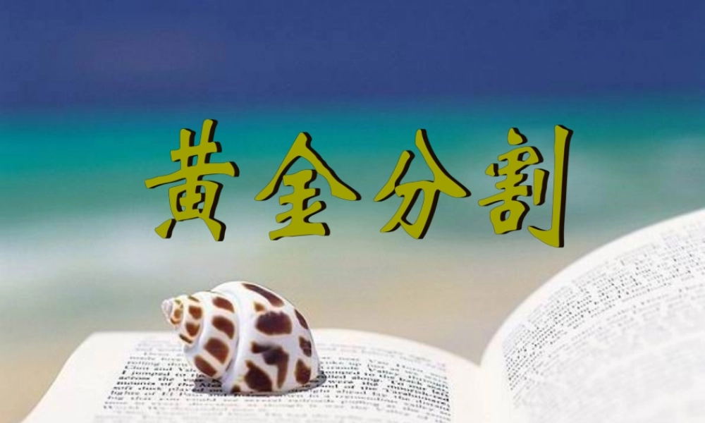黄金分割微课夏飞
