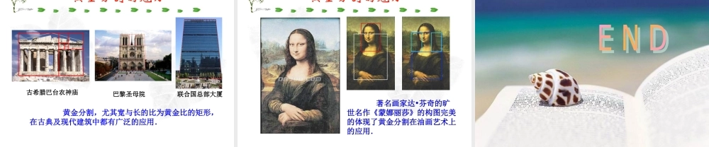 黄金分割微课夏飞
