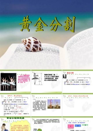 黄金分割微课夏飞