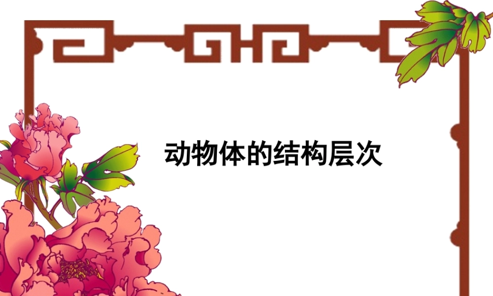 七年级生物动物体的结构层次课件 鲁教版 课件