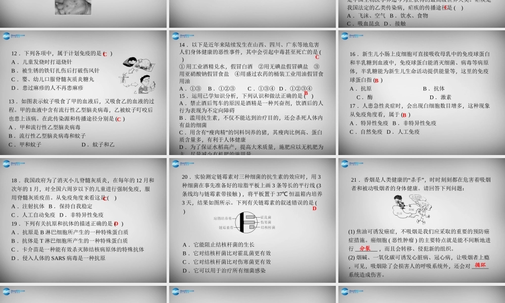 九年级科学下册 第3章 人的健康单元清课件 浙教版 课件