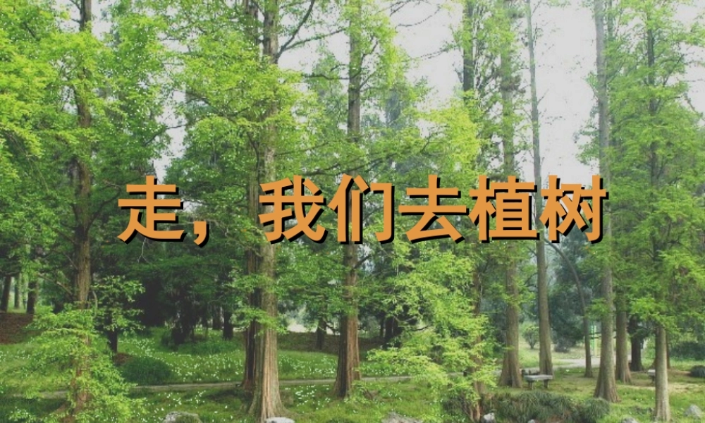 走，我们去植树