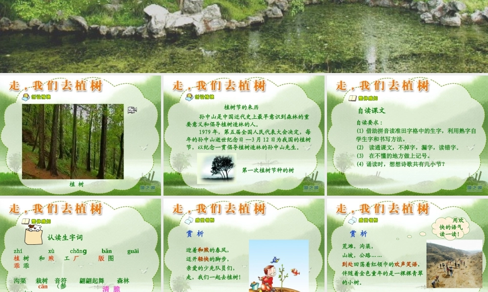 走，我们去植树