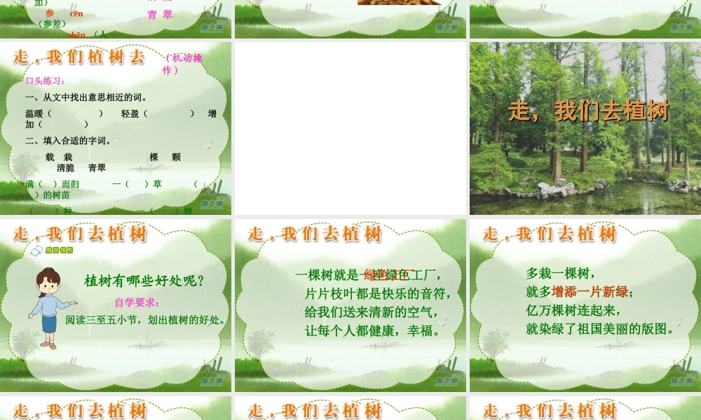 走，我们去植树