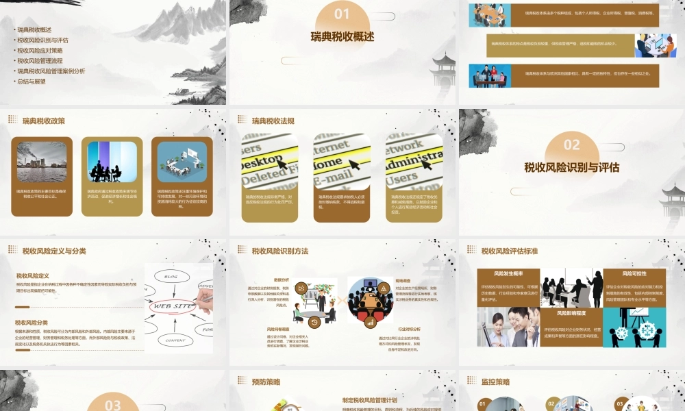 瑞典税收风险管理课件