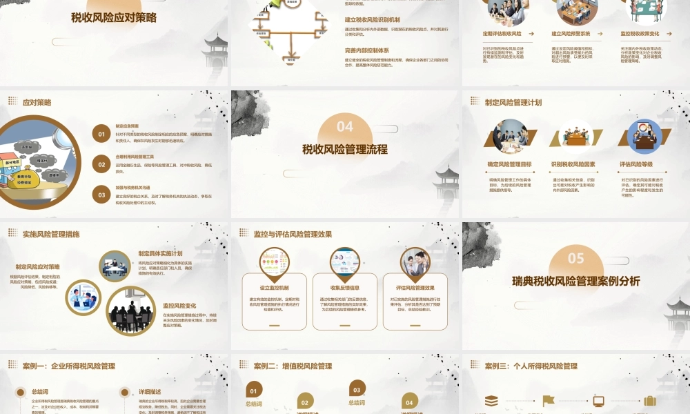 瑞典税收风险管理课件