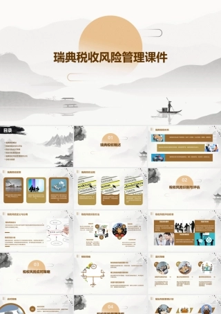 瑞典税收风险管理课件