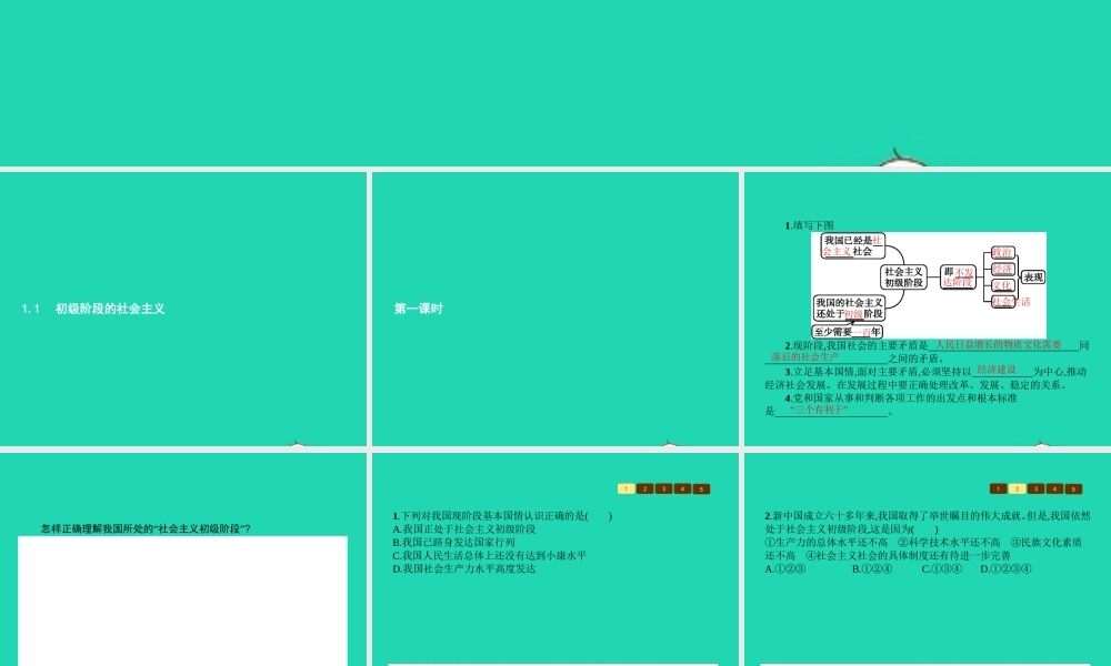 九年级政治全册 第一单元 认识国情 了解制度 11 初级阶段的社会主义(第1课时)习题课件 粤教版 课件