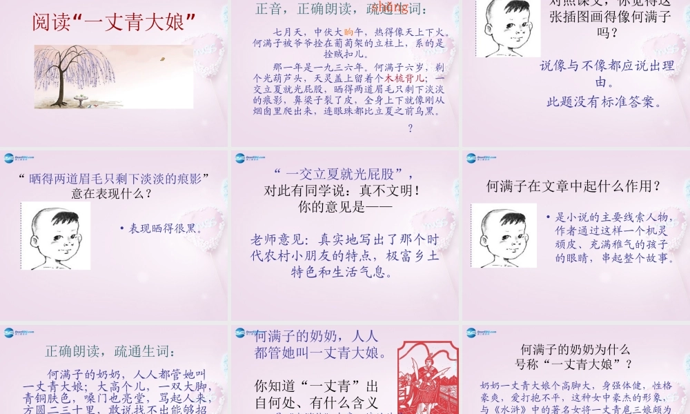 九年级语文下册 6(蒲柳人家)课件1 新人教版 课件