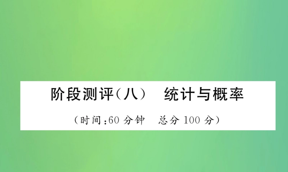 中考数学复习 第8章 统计与概率阶段测评(八)统计与概率(精练)课件